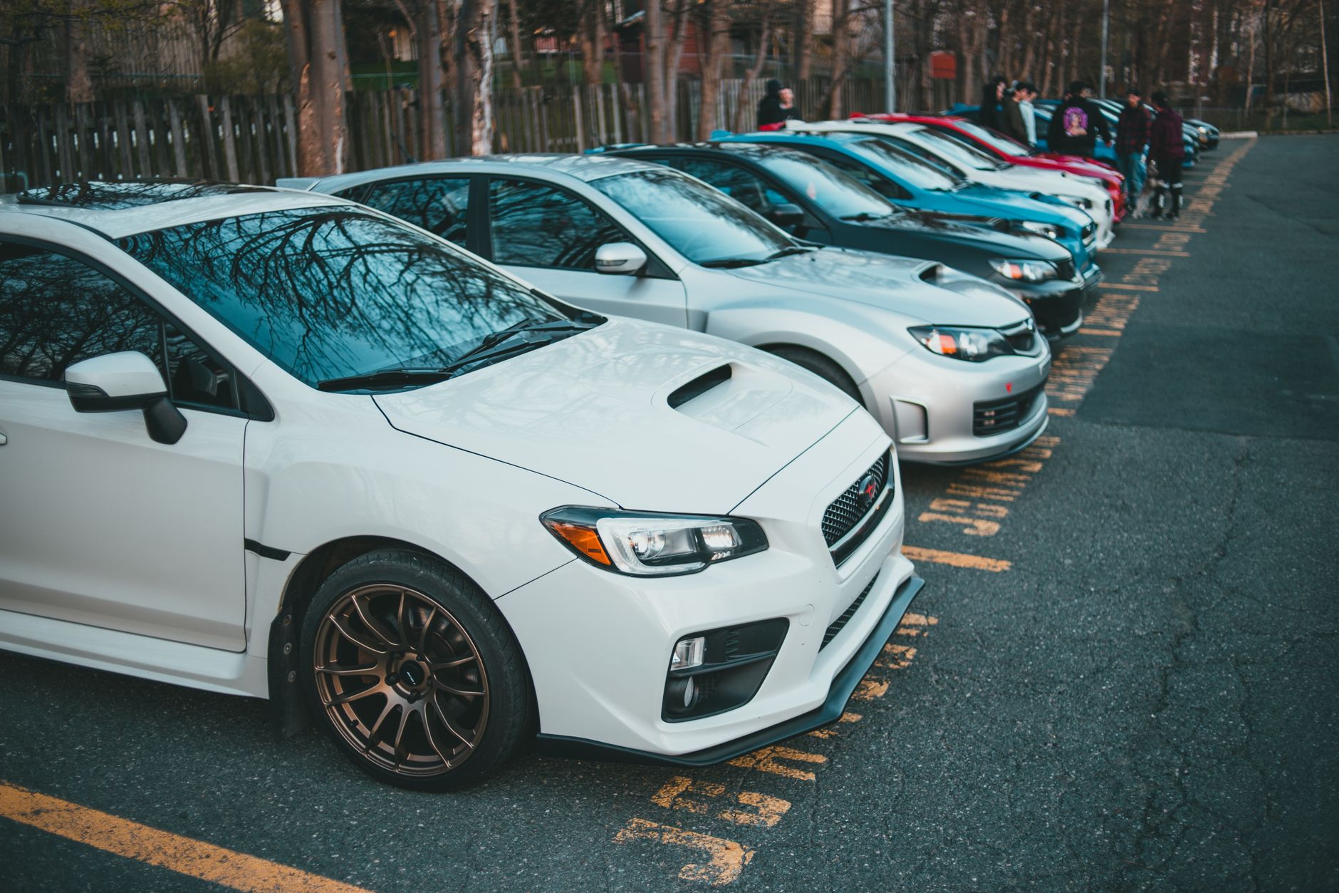 Vibrant lineup of parked cars in an outdoor lot, showcasing various models and colors. — 5 Efficient Ways To Use Vinyl Banner