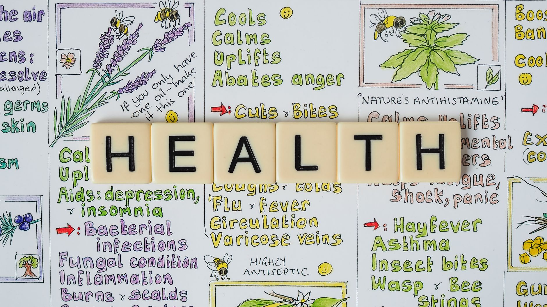 Creative representation of herbal health benefits using illustrated letter tiles spelling 'health'. — Health Packages - Essen