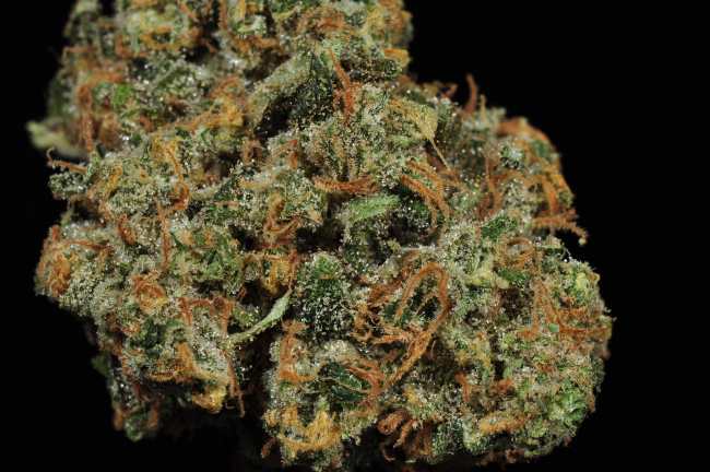 High Times, Delivered: Elevate Your Day with Cannabis Home Delivery